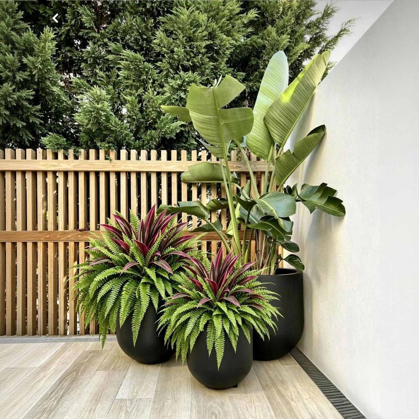 💥Summer Special🔥 UV-Resistant Artificial Fern & Red Dracaena Decorative Plants – Full, Lush & Fade-Resistant!