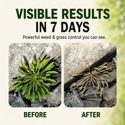 🔥LIMITED SALE🌱 Fast-Acting Natural Weed & Grass Kille