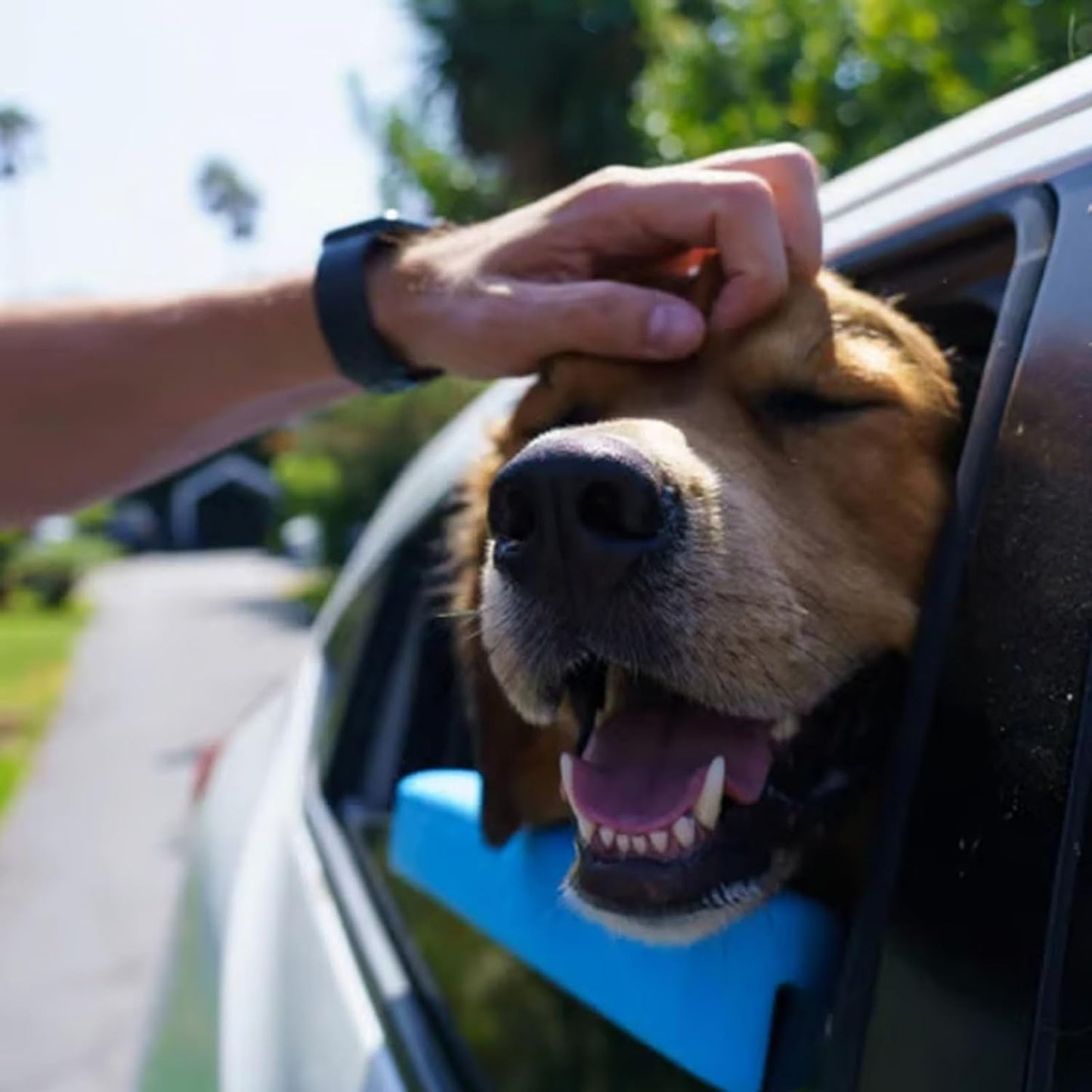 🔥HOT SALE 55% OFF🐕Car Window Chin Rest for Dogs Universal Pet