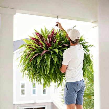 💥Summer Special🔥 UV-Resistant Artificial Fern & Red Dracaena Decorative Plants – Full, Lush & Fade-Resistant!