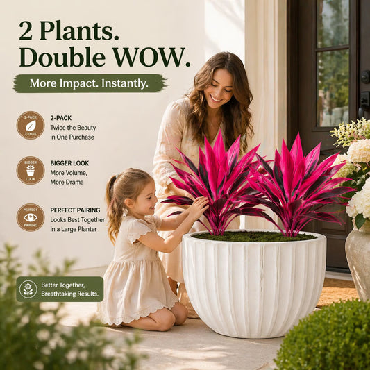🌷🌿2-Pack 21.6" Artificial Cordyline Plants | UV Resistant, Pet Safe No-Maintenance Indoor Outdoor🌷