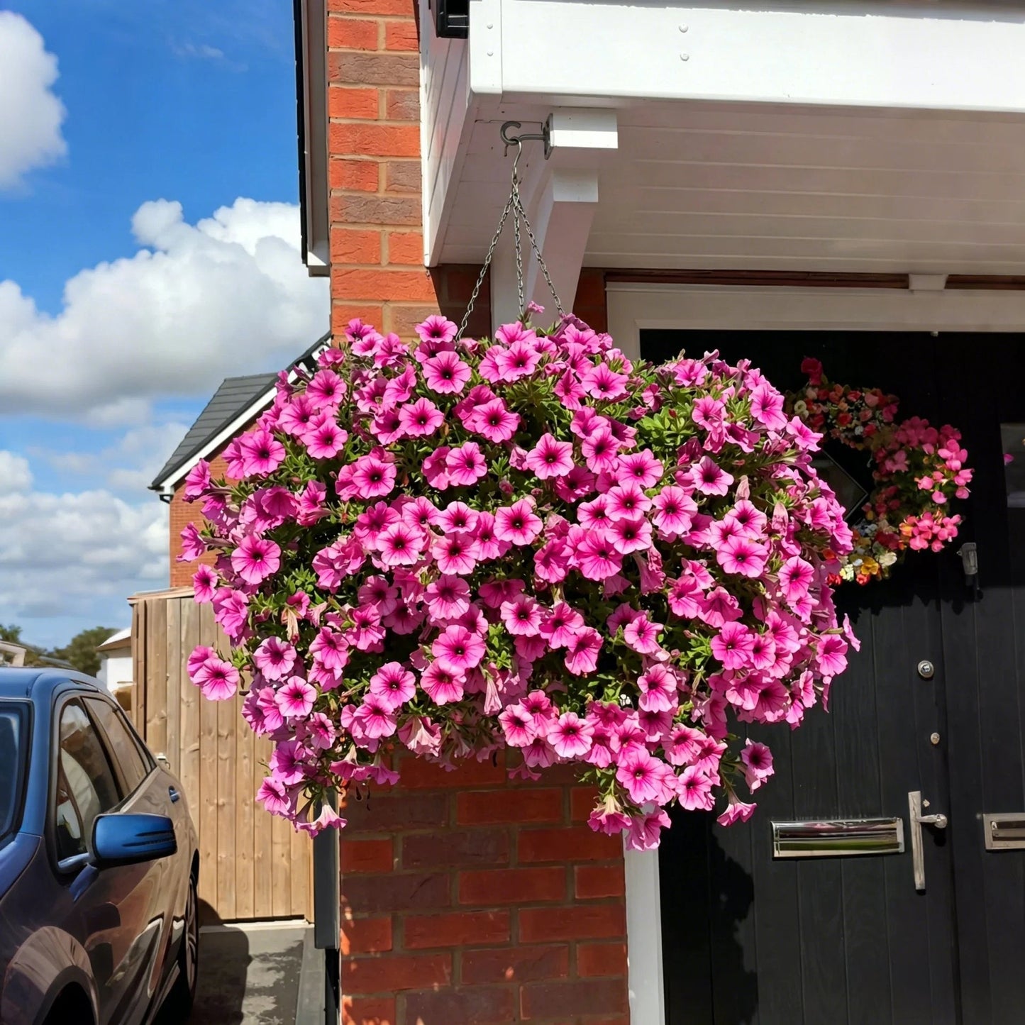 🔥HOT SALE 50% OFF🌺UV Resistant Artificial Petunias Flowers