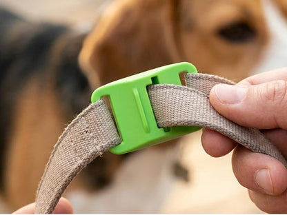 ⏰Last Day 60% OFF-🐕12 Months Flea and Tick Free