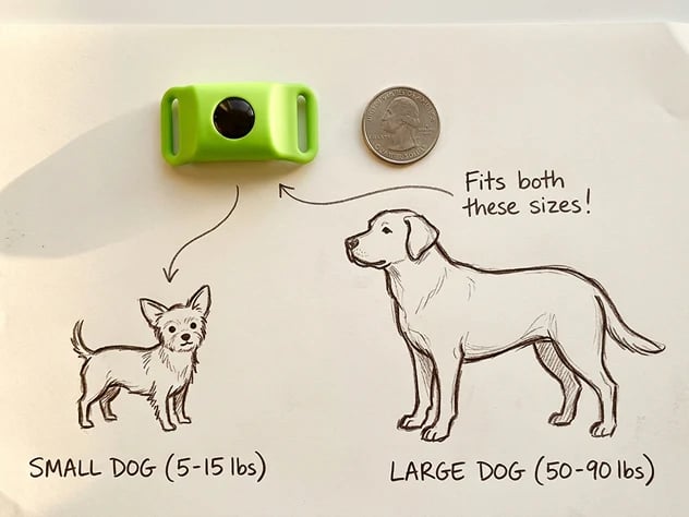 ⏰Last Day 60% OFF-🐕12 Months Flea and Tick Free