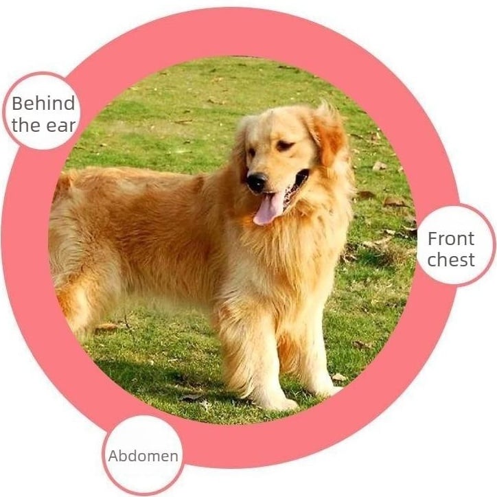 🔥HOT SALE 49% OFF🐱🐶Universal Pet Detangling Comb✨