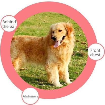 🔥HOT SALE 49% OFF🐱🐶Universal Pet Detangling Comb✨