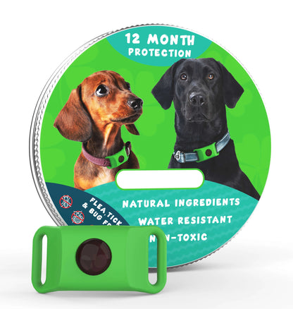 ⏰Last Day 60% OFF-🐕12 Months Flea and Tick Free