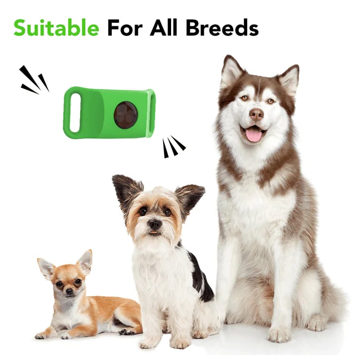 ⏰Last Day 60% OFF-🐕12 Months Flea and Tick Free