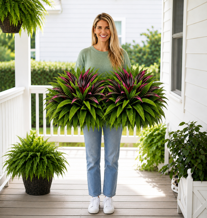 💥Summer Special🔥 UV-Resistant Artificial Fern & Red Dracaena Decorative Plants – Full, Lush & Fade-Resistant!