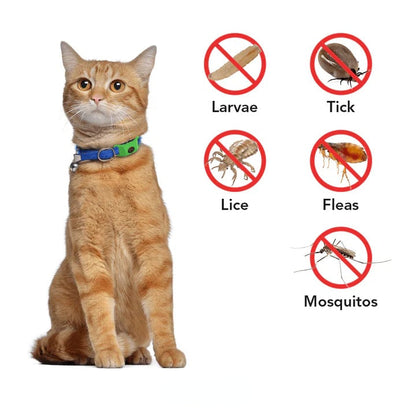 ⏰Last Day 60% OFF-🐕12 Months Flea and Tick Free