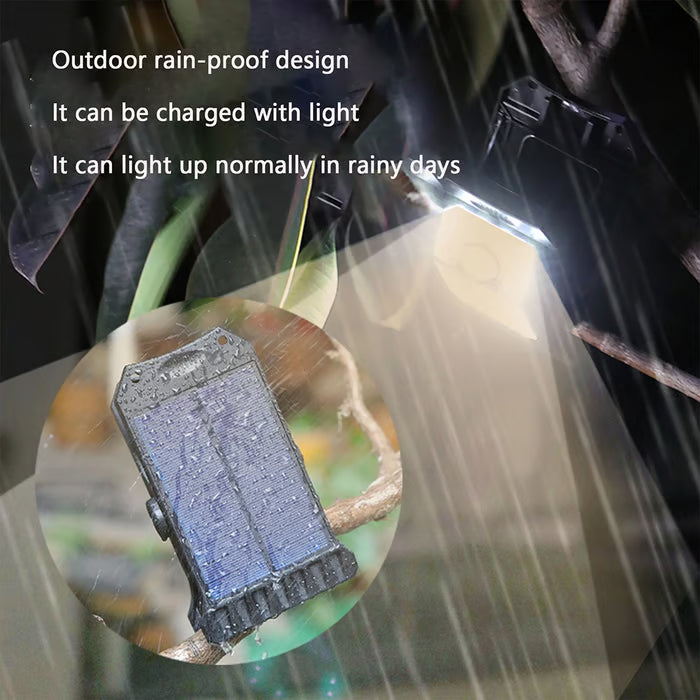 Outdoor solar garden lights and motion-activated lights 🌟 Illuminate your outdoors with smart, energy-efficient lighting!