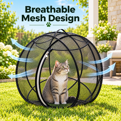 🔥🐱 Pop-Up Cat Playpen 🌿 Fresh Air, Safe Space, Happy Cat