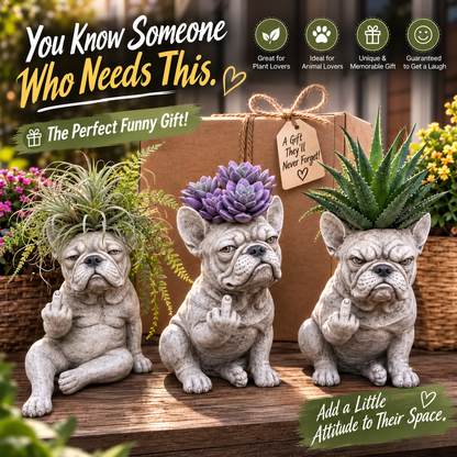 🎁 SPECIAL OFFER | Funny Bulldog Planter – Unique Plant Lover Gift & Cheeky Garden Decoration