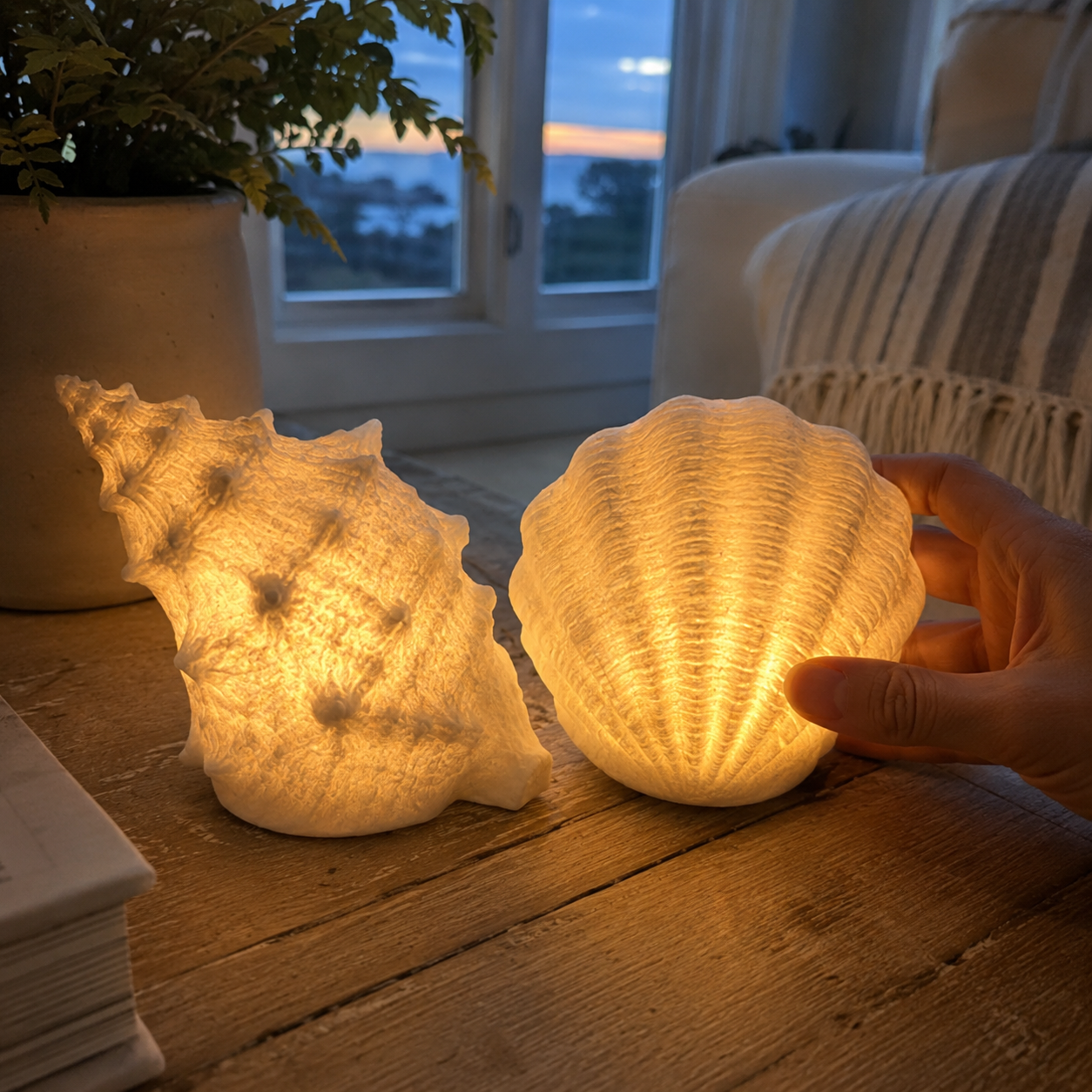 Coastal Afterglow Shell & Conch Light Set