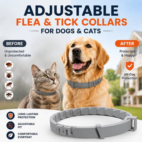 🐶HOT SALE 55% OFF🛡️ Advanced Flea & Tick Collar for Dogs & Cats