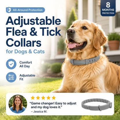 🐶HOT SALE 55% OFF🛡️ Advanced Flea & Tick Collar for Dogs & Cats