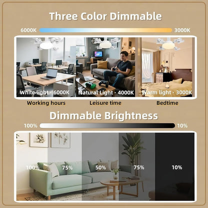 💥 55% OFF TODAY❄️Stay Cool & Bright💡 2-in-1 Ceiling Fan Light 🏠Perfect for Bedrooms, Kitchens & Garages
