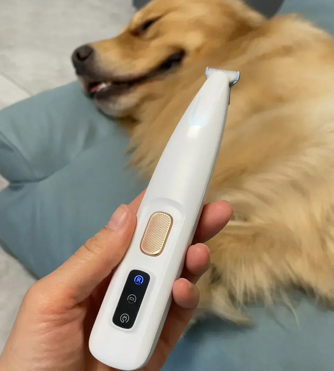🏆LAST DAY 50% OFF✂️🐾Precision Pet Trimmer – Safe Grooming for Paws, Eyes & Tail with LED Light