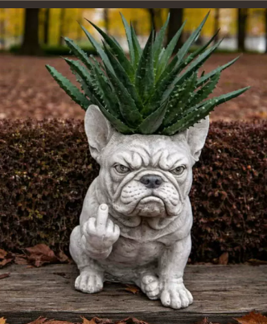 🎁 SPECIAL OFFER | Funny Bulldog Planter – Unique Plant Lover Gift & Cheeky Garden Decoration
