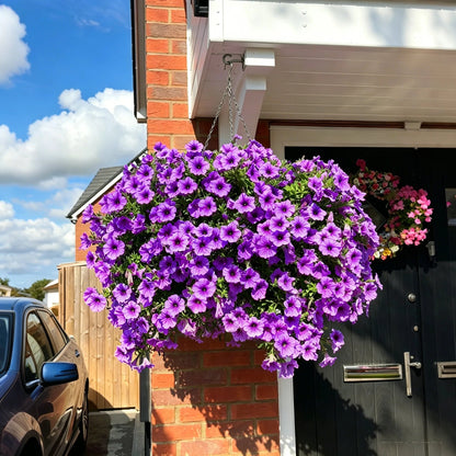 🔥HOT SALE 50% OFF🌺UV Resistant Artificial Petunias Flowers
