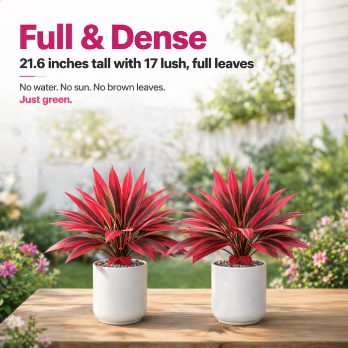 🌷🌿2-Pack 21.6" Artificial Cordyline Plants | UV Resistant, Pet Safe No-Maintenance Indoor Outdoor🌷