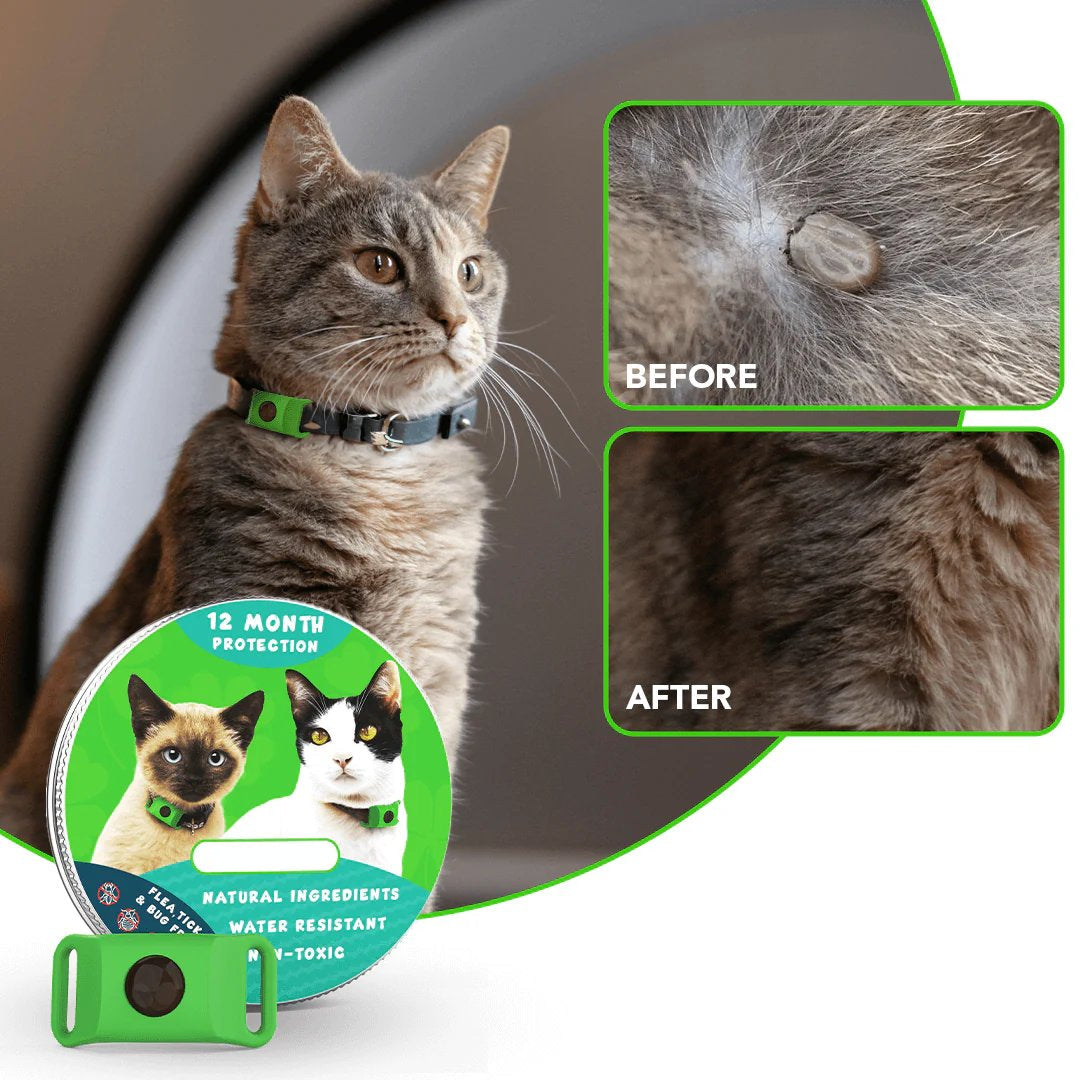 ⏰Last Day 60% OFF-🐕12 Months Flea and Tick Free