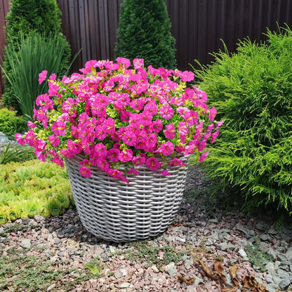 🔥HOT SALE 50% OFF🌺UV Resistant Artificial Petunias Flowers