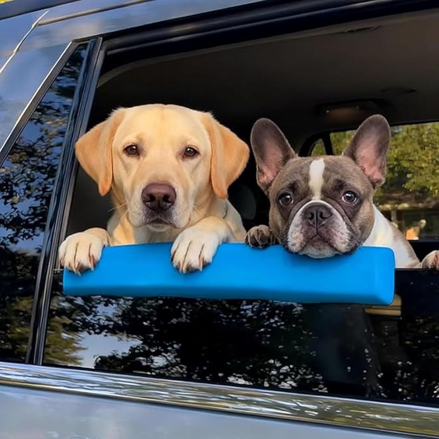 🔥HOT SALE 55% OFF🐕Car Window Chin Rest for Dogs Universal Pet