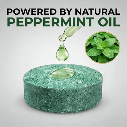 🔥HOT SALE 55% OFF🟢Natural Peppermint Rodent Repellent Balls🐀