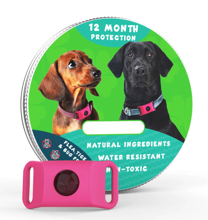 ⏰Last Day 60% OFF-🐕12 Months Flea and Tick Free