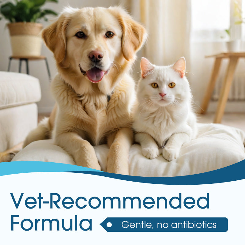 🐶🐱 Pet Ear Cleaner – Gentle Relief for Itchy Ears in Dogs & Cats👂✨