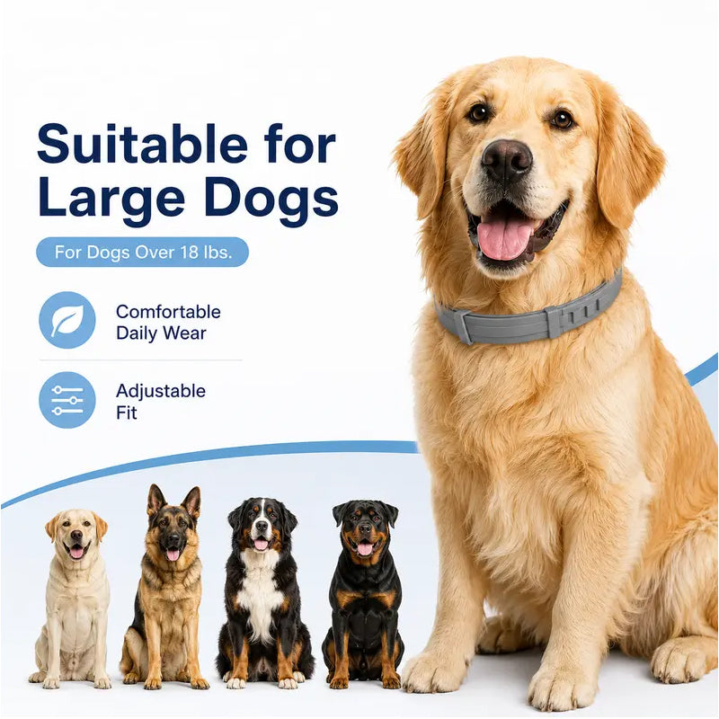 🔥 SELLING FAST 50% OFF 🐶 Premium Adjustable Flea & Tick Collar for Dogs & Cats 🐱