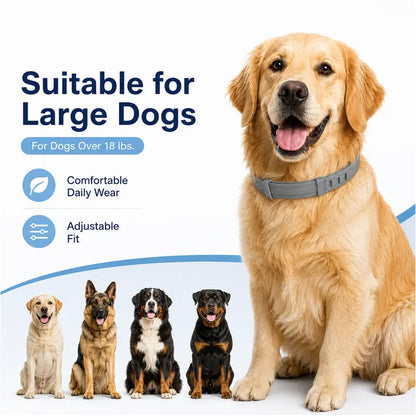 🔥 SELLING FAST 50% OFF 🐶 Premium Adjustable Flea & Tick Collar for Dogs & Cats 🐱
