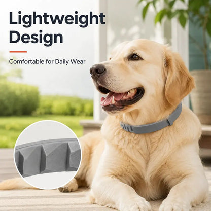 🐶HOT SALE 55% OFF🛡️ Advanced Flea & Tick Collar for Dogs & Cats