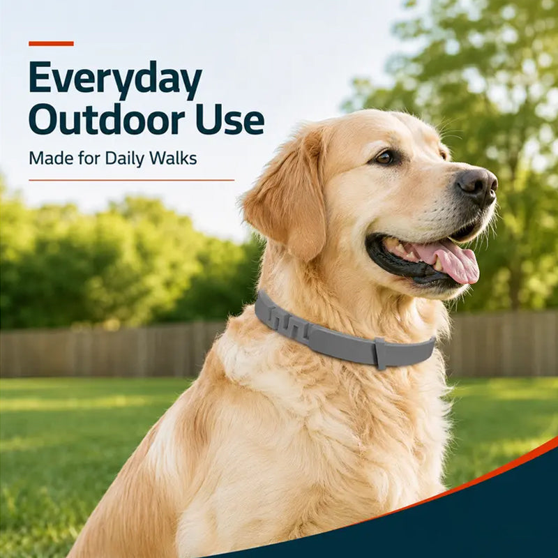 🔥 SELLING FAST 50% OFF 🐶 Premium Adjustable Flea & Tick Collar for Dogs & Cats 🐱