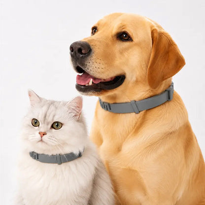 🔥 SELLING FAST 50% OFF 🐶 Premium Adjustable Flea & Tick Collar for Dogs & Cats 🐱