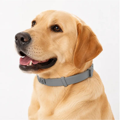 🔥 SELLING FAST 50% OFF 🐶 Premium Adjustable Flea & Tick Collar for Dogs & Cats 🐱