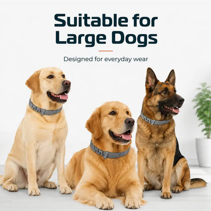 🔥 SELLING FAST 50% OFF 🐶 Premium Adjustable Flea & Tick Collar for Dogs & Cats 🐱